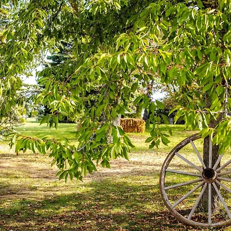 Novotel Mulhouse Bâle Fribourg 4* Sausheim