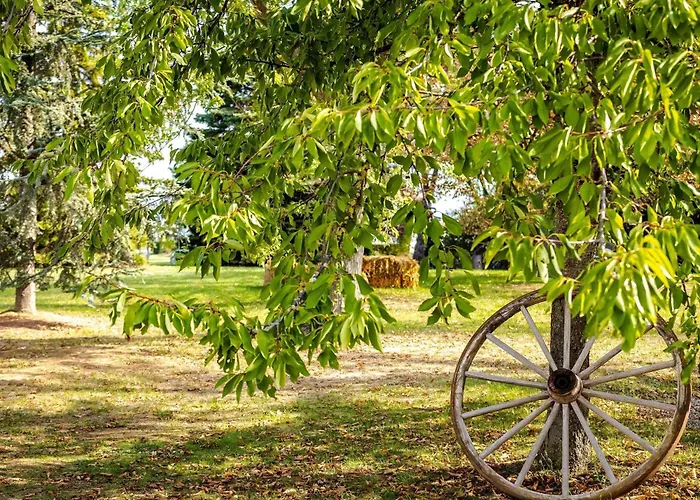 Novotel Mulhouse Bâle Fribourg 4* Sausheim